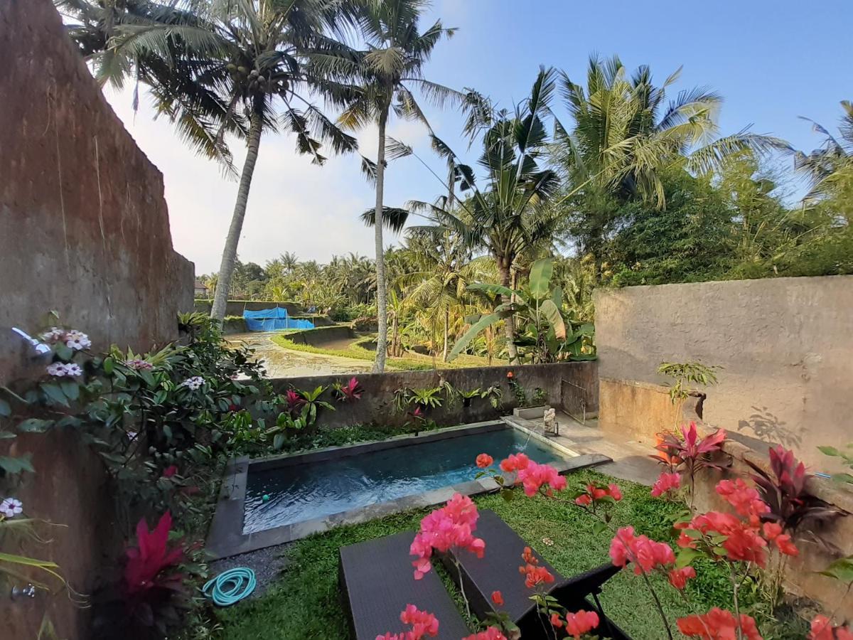 Hidden Point Villa Ubud Esterno foto