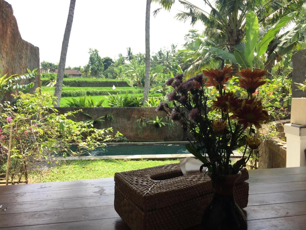 Hidden Point Villa Ubud Esterno foto