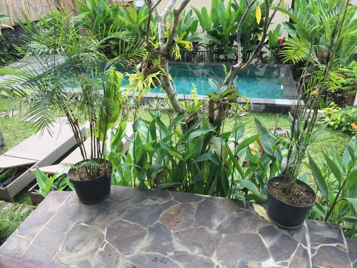 Hidden Point Villa Ubud Esterno foto
